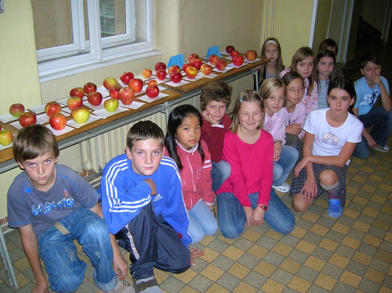 Výstava jablek 2008