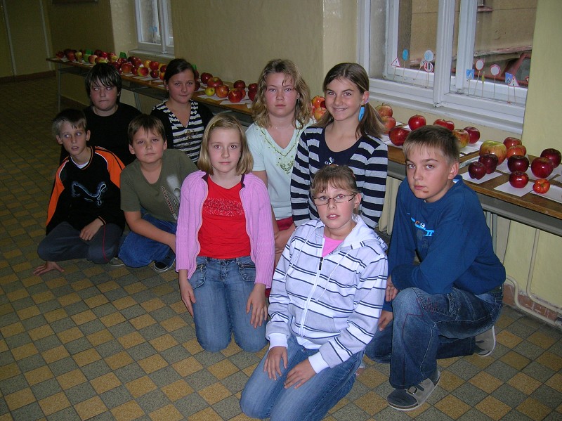 Výstava jablek 2008