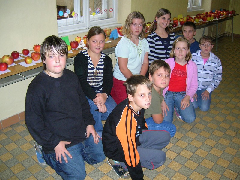 Výstava jablek 2008