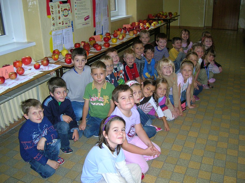 Výstava jablek 2008