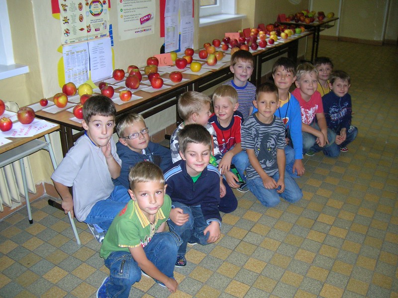 Výstava jablek 2008