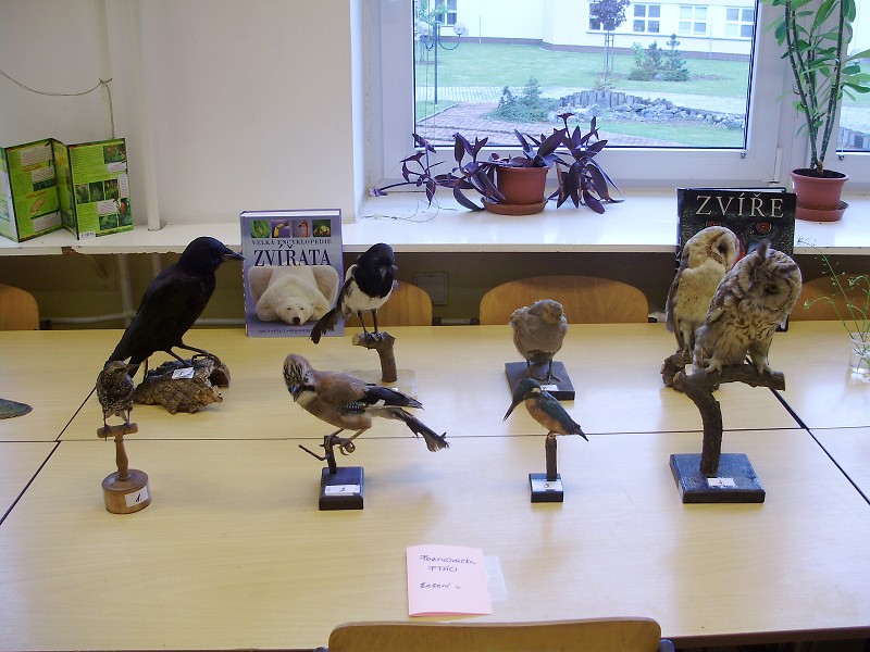 Den otevřených dveří 2010