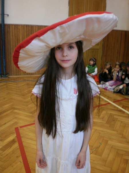 Maškarní karneval v družině 2011