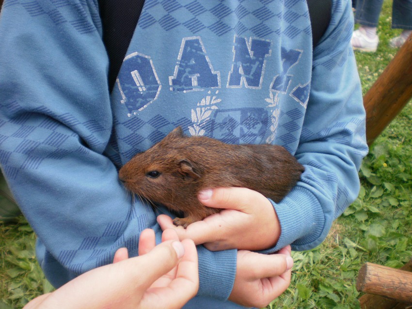 Družinový výlet 2011