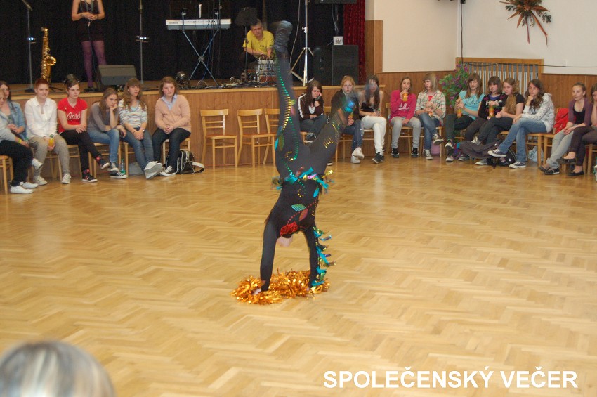 KALEIDOSKOP PŘÁTELSTVÍ  2011