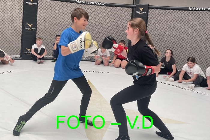 FOTOGALERIE