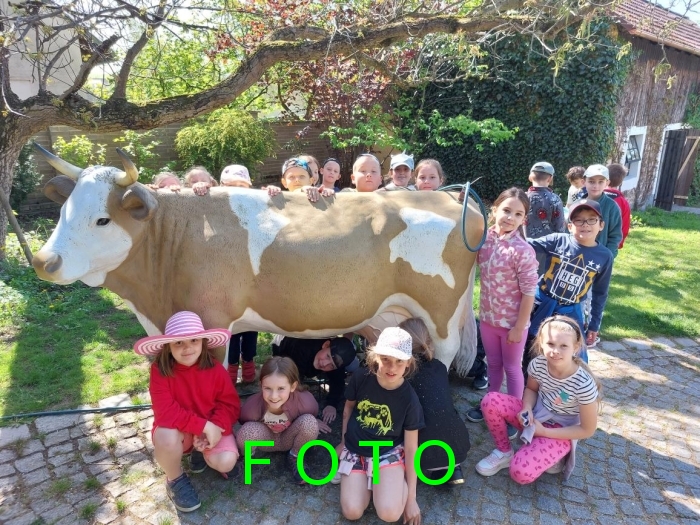 FOTOGALERIE